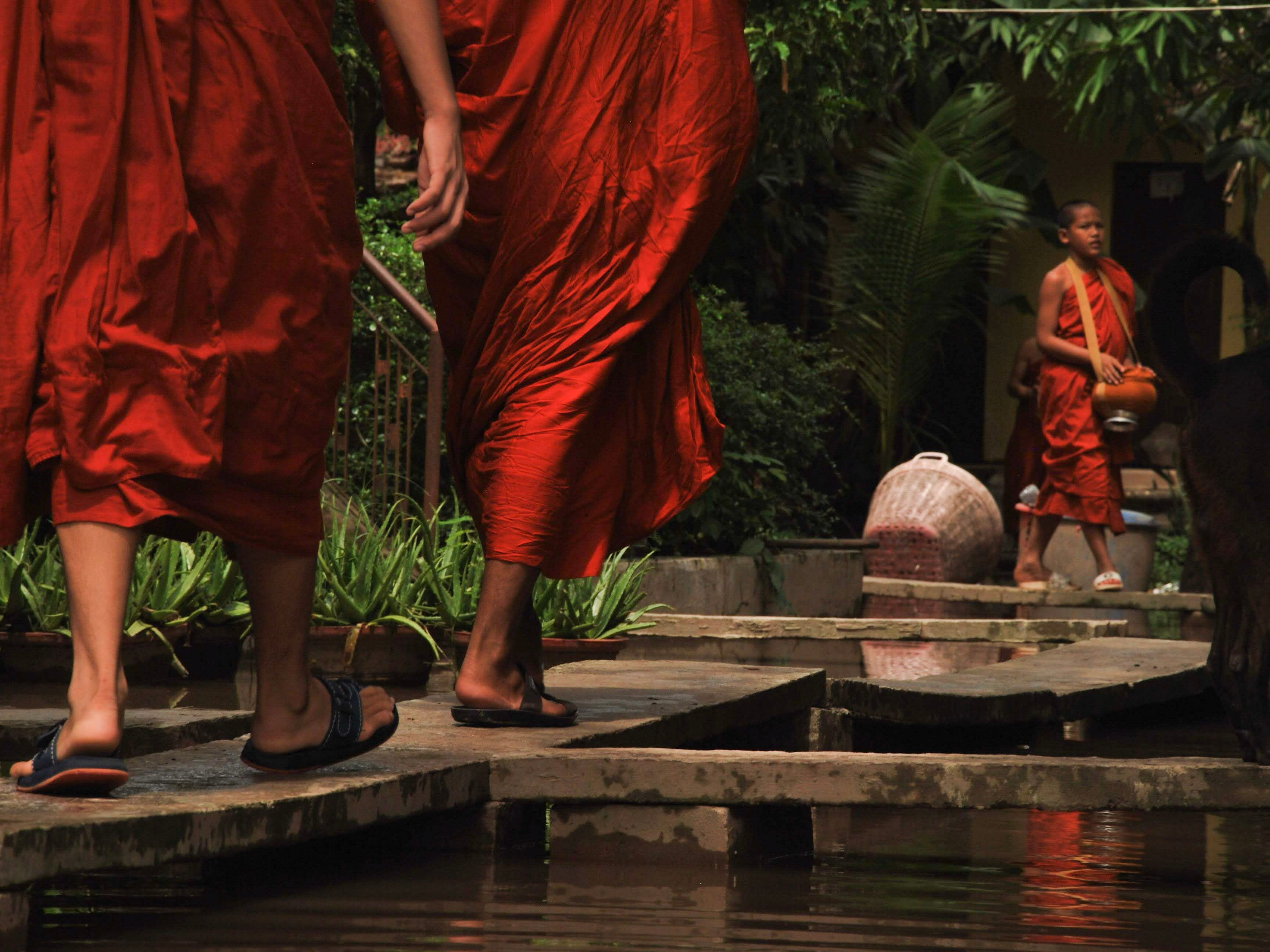 Buddhist monks in saffron robes walking near a pagoda outside Kampot