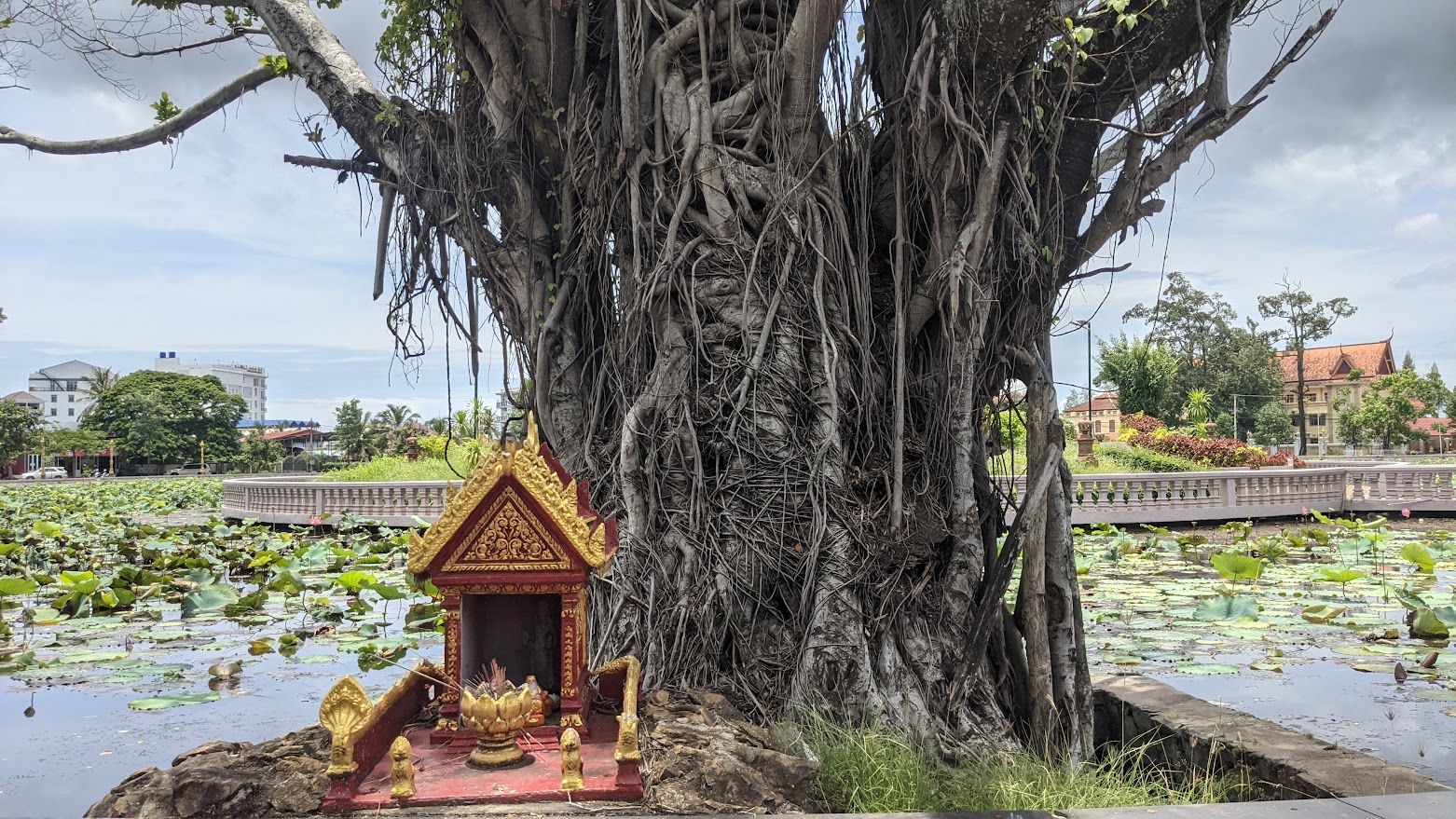 A spirit house shrine with offerings on a Kampot street